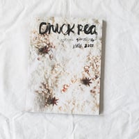CHICKPEA Winter 2013