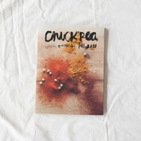 CHICKPEA Fall 2013