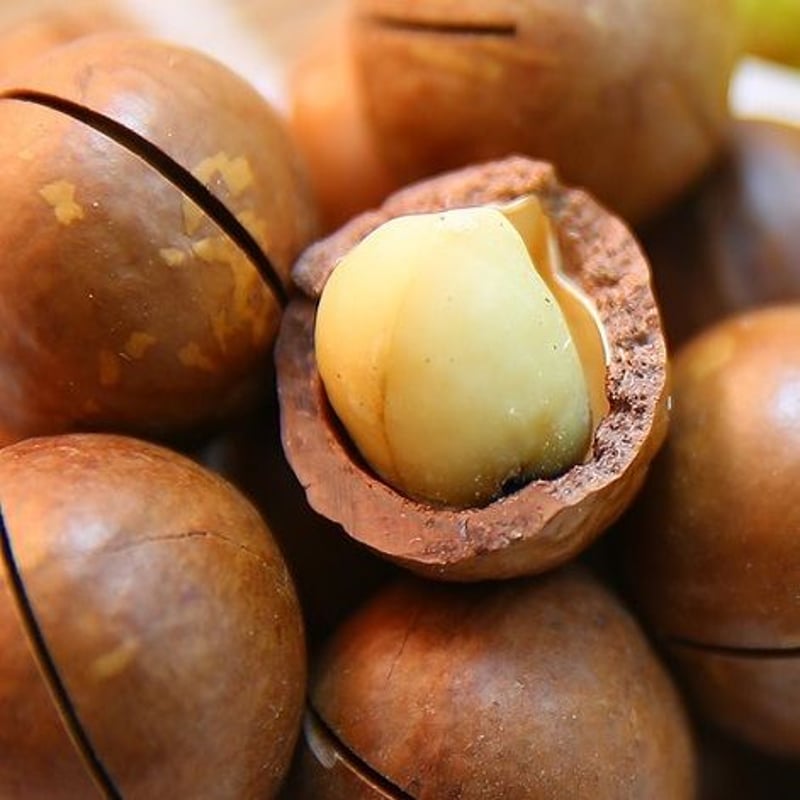 abotanical FACE OIL *次回再販は11月25日(土)20時になります | a