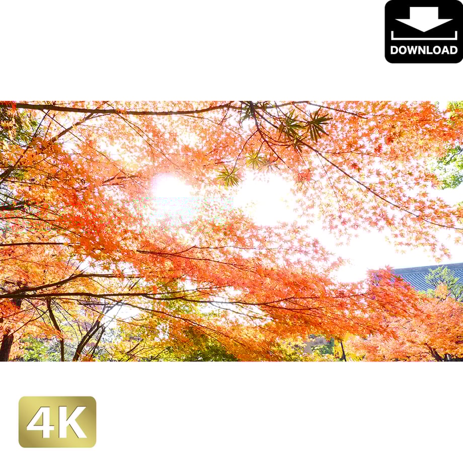 5ac04898ef843f14ba000125