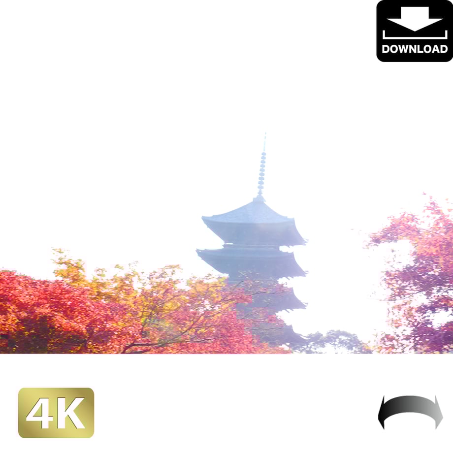5ac04916ef843f2664000042