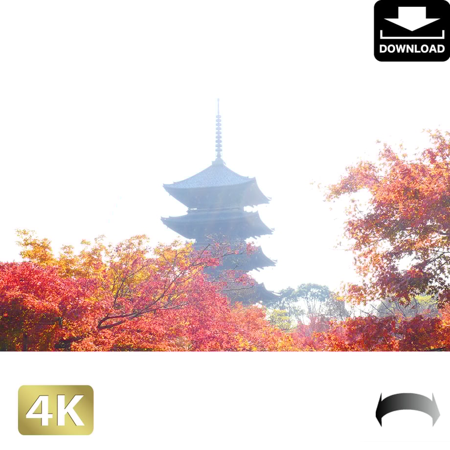 5ac0494e122a7d08f7006176