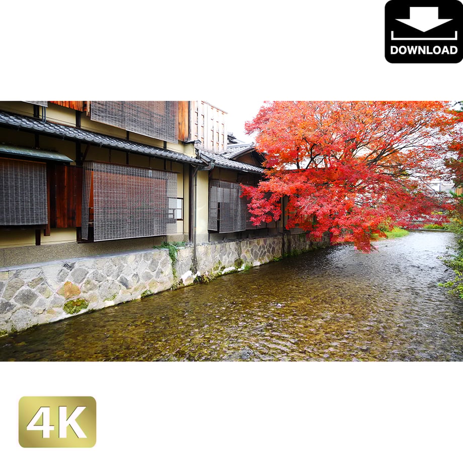 5ac04d10ef843f18cb00023c