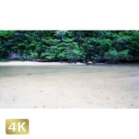 1022021　■ 石垣島　吹通川ヒルギ群落