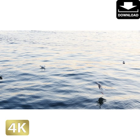 2028017　■ 東京　海ゆりかもめ