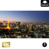 2028075　■ 東京　東京タワー