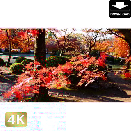 東寺 | STORES