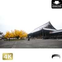 2043125　■ 京都　西本願寺　紅葉