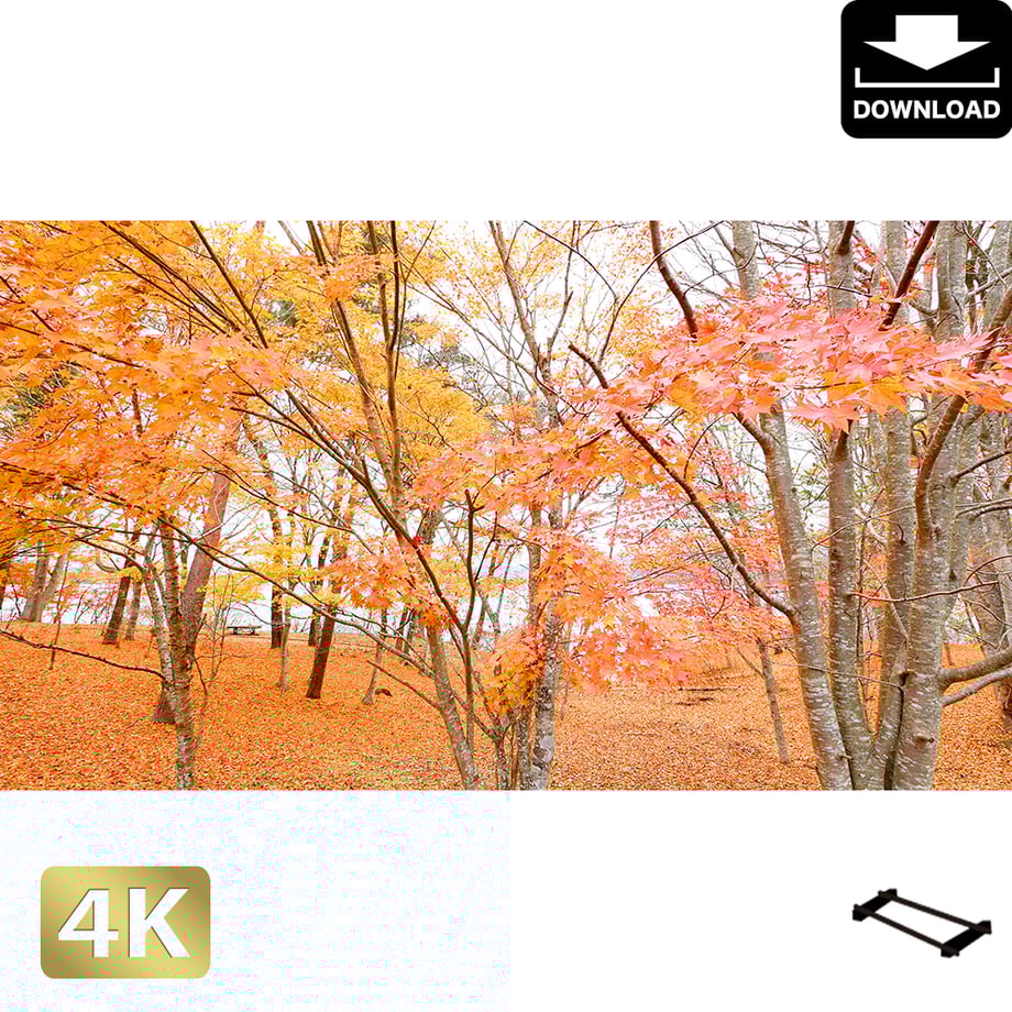 5a98cccea6e6ee37a9002f25