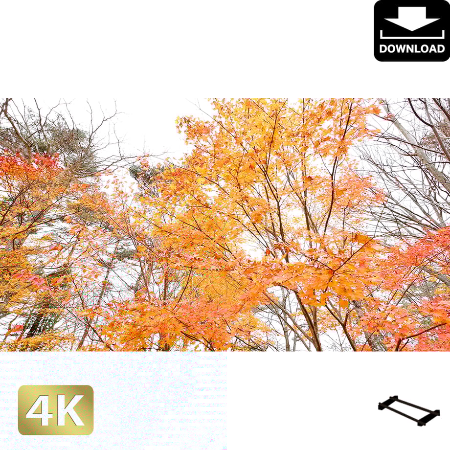 5a98cd2e5f78664d4000315a