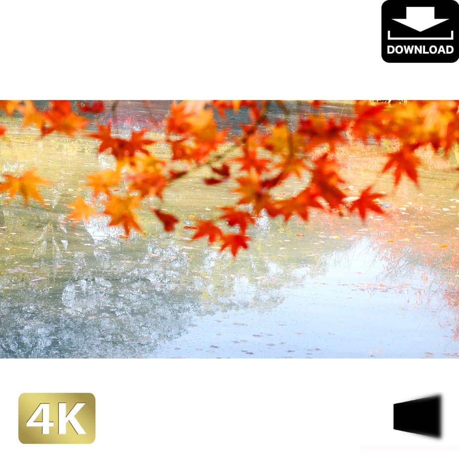 5ac044615496ff1de70002c9