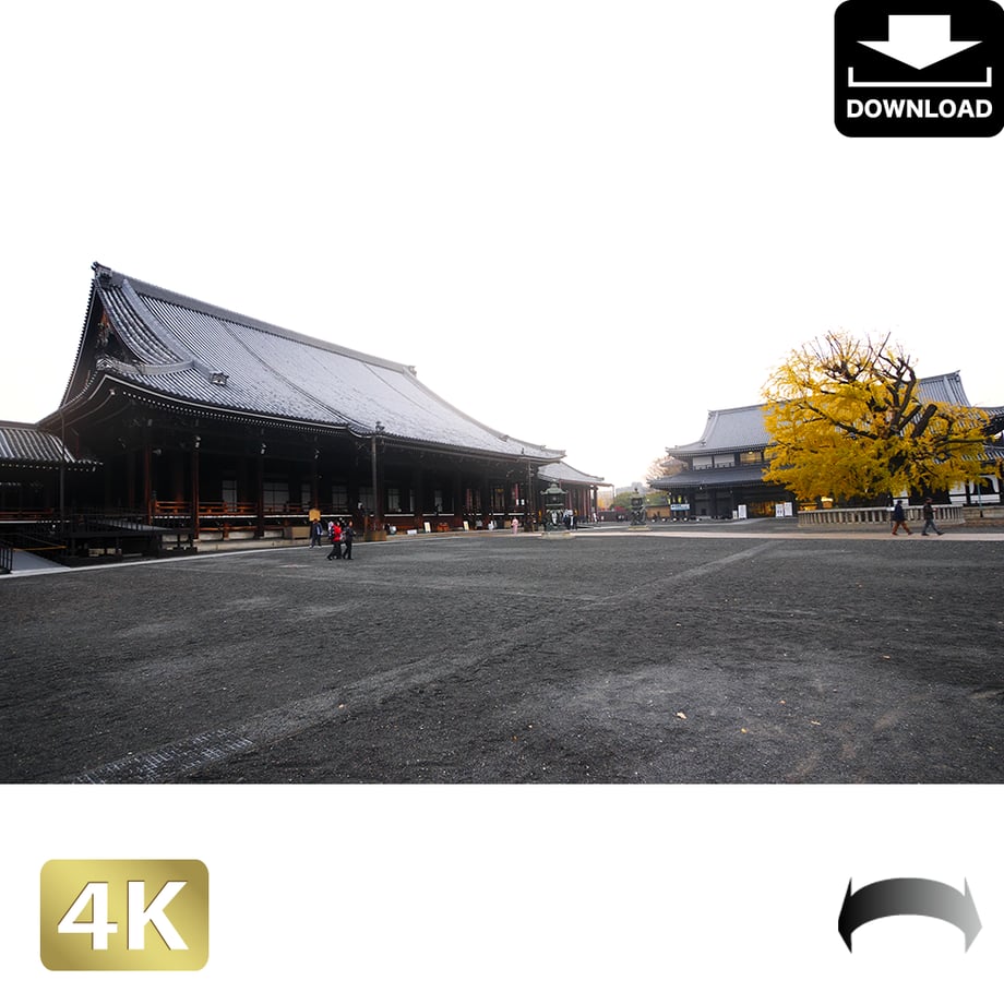 5ac051035496ff5db6001f39