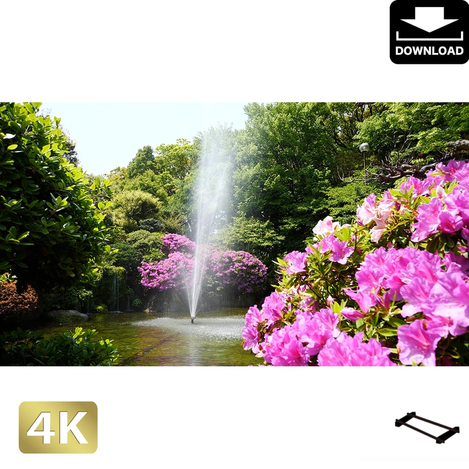 5aac90ae122a7d0811000573