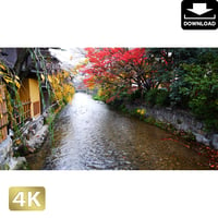 2043092　■ 京都　祇園白川