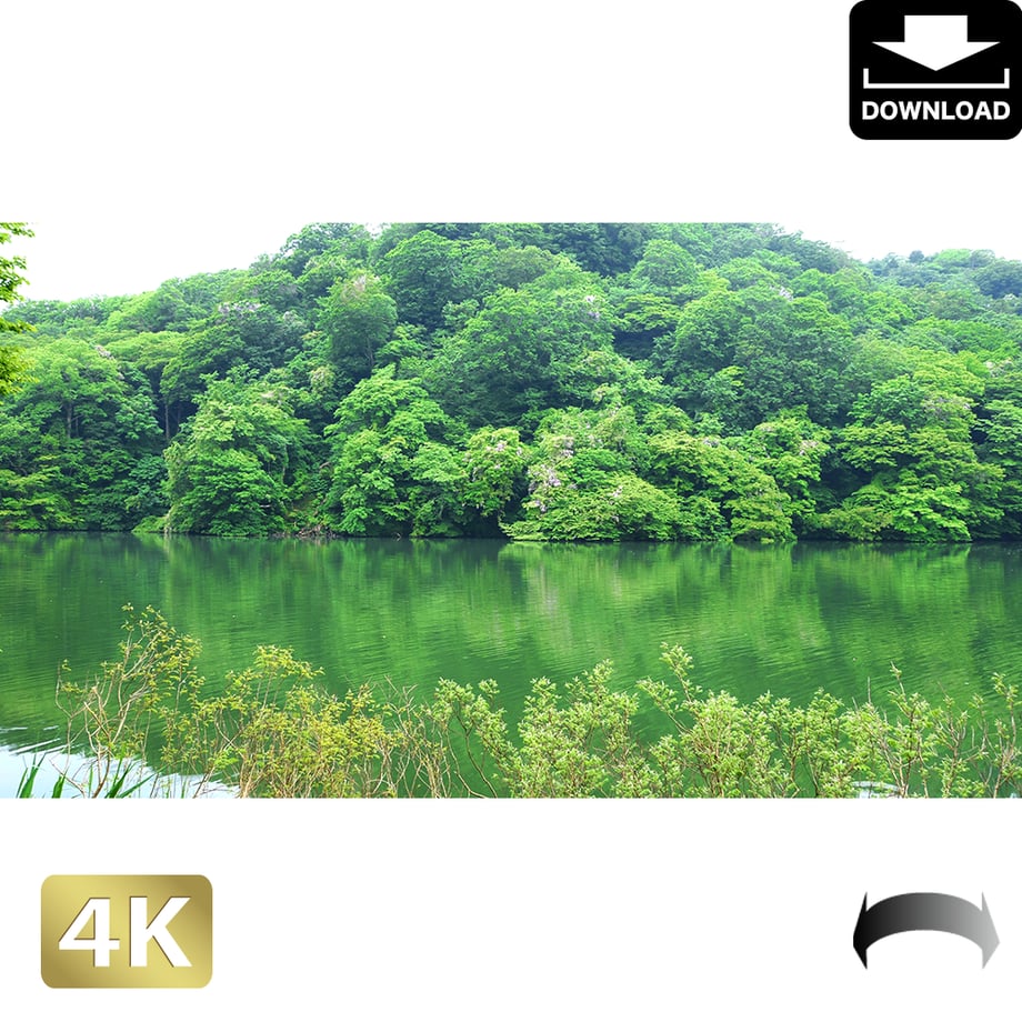 5ab2fb87ef843f26e50015f9
