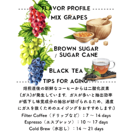 マンスリー定期便【＊デカフェ&オーガニック＊  エチオピア シャキソ 300g】 毎月お届け