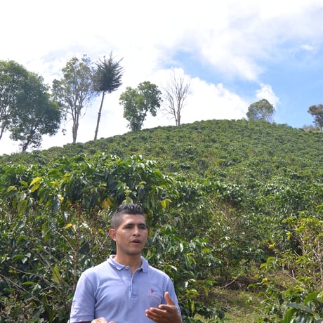 【SPECIALTY COFFEE】Colombia Los Naranjos Fully Washed / コロンビア　ロス・ナランホ　フリーウォッシュト