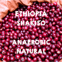 【SPECIALTY COFFEE】Ethiopia Sidamo Shakiso Anaerobic Natural / エチオピア シダモ シャキソ アナロビックナチュラル