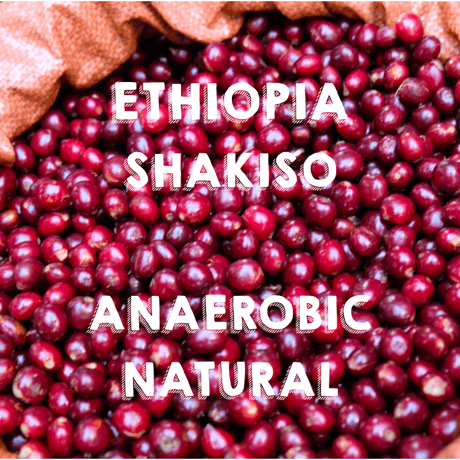 【SPECIALTY COFFEE】Ethiopia Sidamo Shakiso Anaerobic Natural / エチオピア シダモ シャキソ アナロビックナチュラル