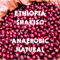 【SPECIALTY COFFEE】Ethiopia Sidamo Shakiso Anaerobic Natural / エチオピア シダモ シャキソ アナロビックナチュラル