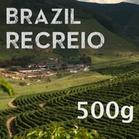 【SPECIALTY COFFEE】500g Brazil Recreio Yellow Bourbon Natural / ブラジル ヘクレイオ農園 イエローブルボン品種 ナチュラル