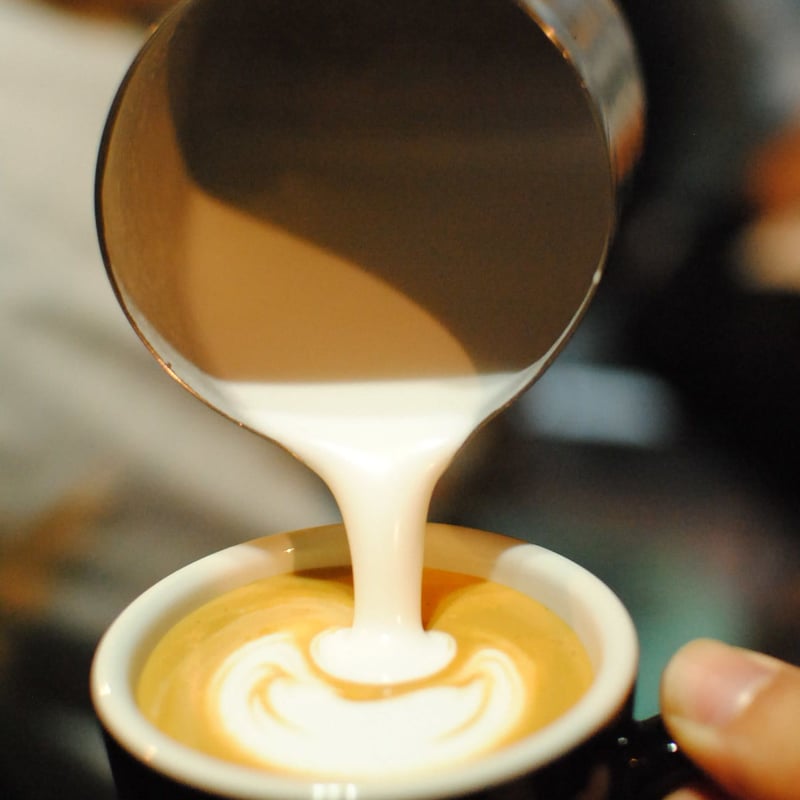 ACF CAPPUCCINO CUP 5.5oz (6 cups & saucers set)