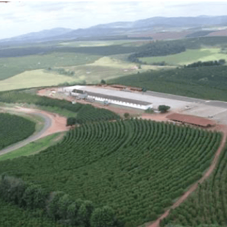 【SPECIALTY COFFEE】Brazil  Monte Alegre（モンテ・アレグレ農園）Natural / Sweet Cup / Catuai, Mundo Novo etc...