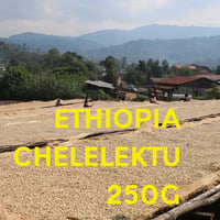 【SPECIALTY COFFEE】250g Ethiopia Yirgachefe Chelelektu 1.600-2.000m F. W. / エチオピア　イルガチェフ　チェレレクトゥ F.W.
