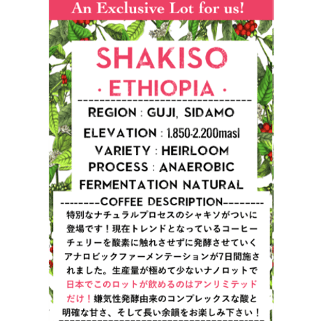 【SPECIALTY COFFEE】Ethiopia Sidamo Shakiso Anaerobic Natural / エチオピア シダモ シャキソ アナロビックナチュラル