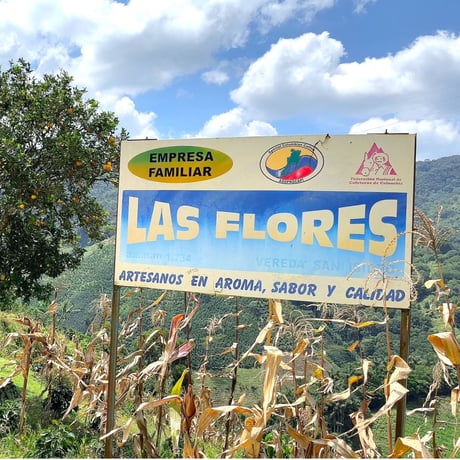 ジャバ種 Colombia Las Flores JAVA Fermented Washed / コロンビア フローレス農園 ファーメンテッド ウォッシュト
