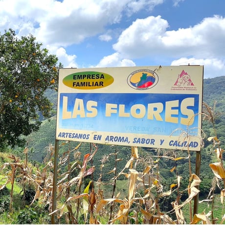 Colombia Las Flores Fermented Natural / コロンビア フローレス農園 ファーメンテッド ナチュラル