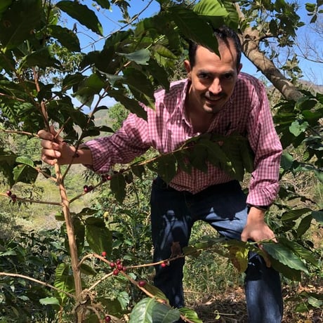 【SPECIALTY COFFEE】100g El Salvador Finca El Balam Geisha Natural / エルサルバドル バラム農園 ゲイシャ ナチュラル