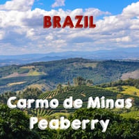 【SPECIALTY COFFEE】Brazil  Carmo de Minas（カルモ・デ・ミナス）Natural / Peaberry