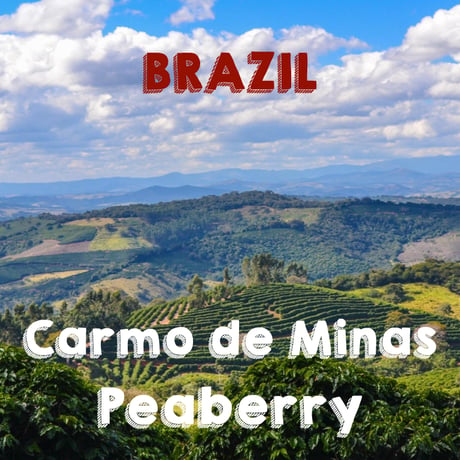 【SPECIALTY COFFEE】Brazil  Carmo de Minas（カルモ・デ・ミナス）Natural / Peaberry