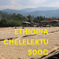 【SPECIALTY COFFEE】500g Ethiopia Yirgachefe Chelelektu 1.600-2.000m F. W. / エチオピア　イルガチェフ　チェレレクトゥ F.W.