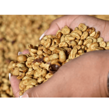 【SPECIALTY COFFEE】Costa Rica Harmony Black Honey/ コスタリカ ハーモニー ブラックハニー