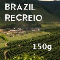【SPECIALTY COFFEE】150g Brazil Recreio Yellow Bourbon Natural / ブラジル ヘクレイオ農園 イエローブルボン品種 ナチュラル
