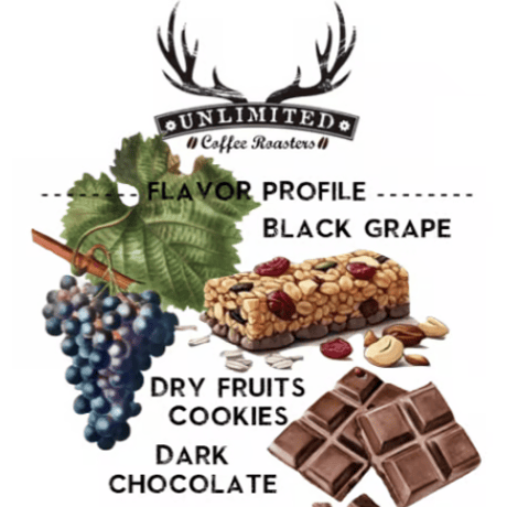 【SPECIALTY COFFEE】Brazil  Monte Alegre（モンテ・アレグレ農園）Natural / Sweet Cup / Catuai, Mundo Novo etc...