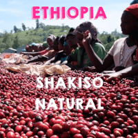 【SPECIALTY COFFEE】Ethiopia Sidamo Shakiso 1.850-2.200m Natural / エチオピア シダモ シャキソ ナチュラル