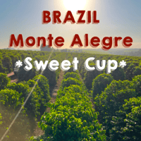 【SPECIALTY COFFEE】Brazil  Monte Alegre（モンテ・アレグレ農園）Natural / Sweet Cup / Catuai, Mundo Novo etc...