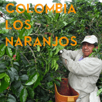 【SPECIALTY COFFEE】Colombia Los Naranjos Fully Washed / コロンビア　ロス・ナランホ　フリーウォッシュト