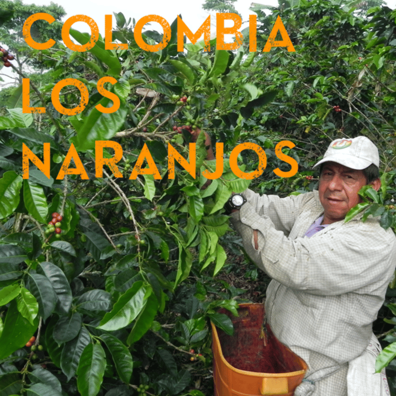 SPECIALTY COFFEE】Colombia Los Naranjos Fully W
