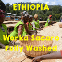 【SPECIALTY COFFEE】Ethiopia Yirgachefe Worka Sacaro F.W. / エチオピア イルガチェフ ウォルカ・サカロ FW.