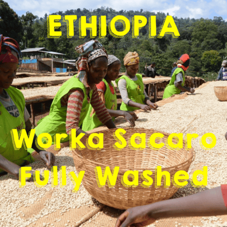 【SPECIALTY COFFEE】Ethiopia Yirgachefe Worka Sacaro F.W. / エチオピア イルガチェフ ウォルカ・サカロ FW.