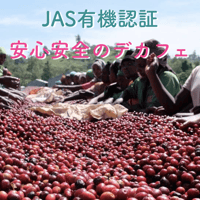 【デカフェ&オーガニック】エチオピア シャキソ  / 【DECAF & ORGANIC】Ethiopia Shakiso 250g