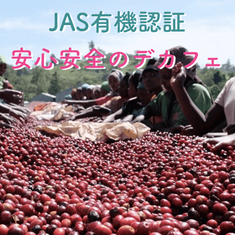 【デカフェ&オーガニック】エチオピア シャキソ  / 【DECAF & ORGANIC】Ethiopia Shakiso 250g