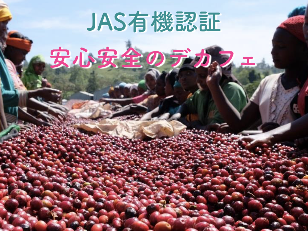 （オリジナル+デカフェ）★【短期リピート割スペシャル特価】 デカフェ&オーガニック】エチオピア シャキソ / 【DECAF & ORGANIC】Eth