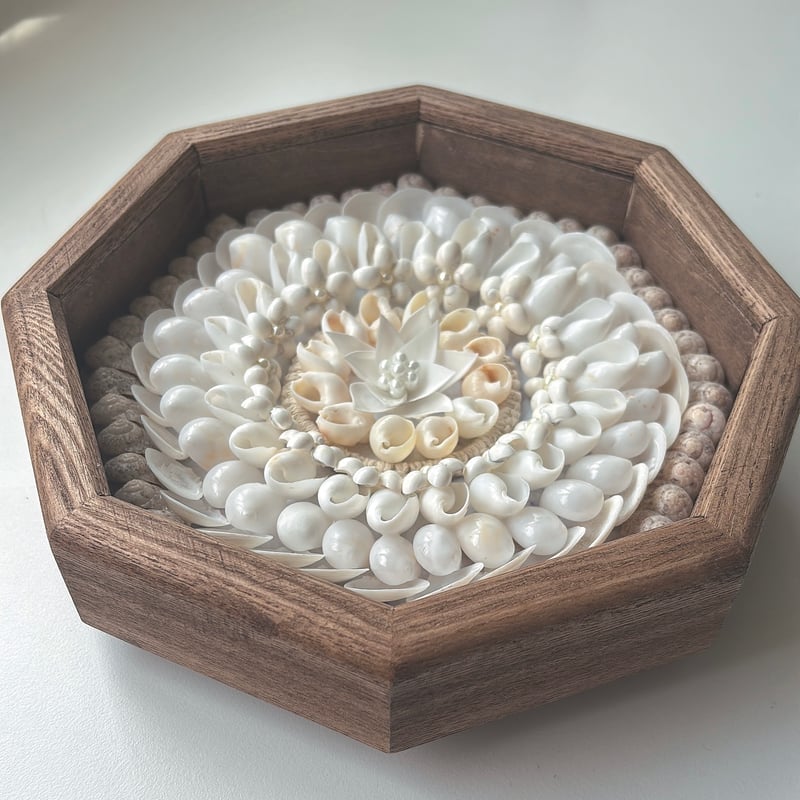 木製アート 置物 貝殻付き 貝殻 オブジェ