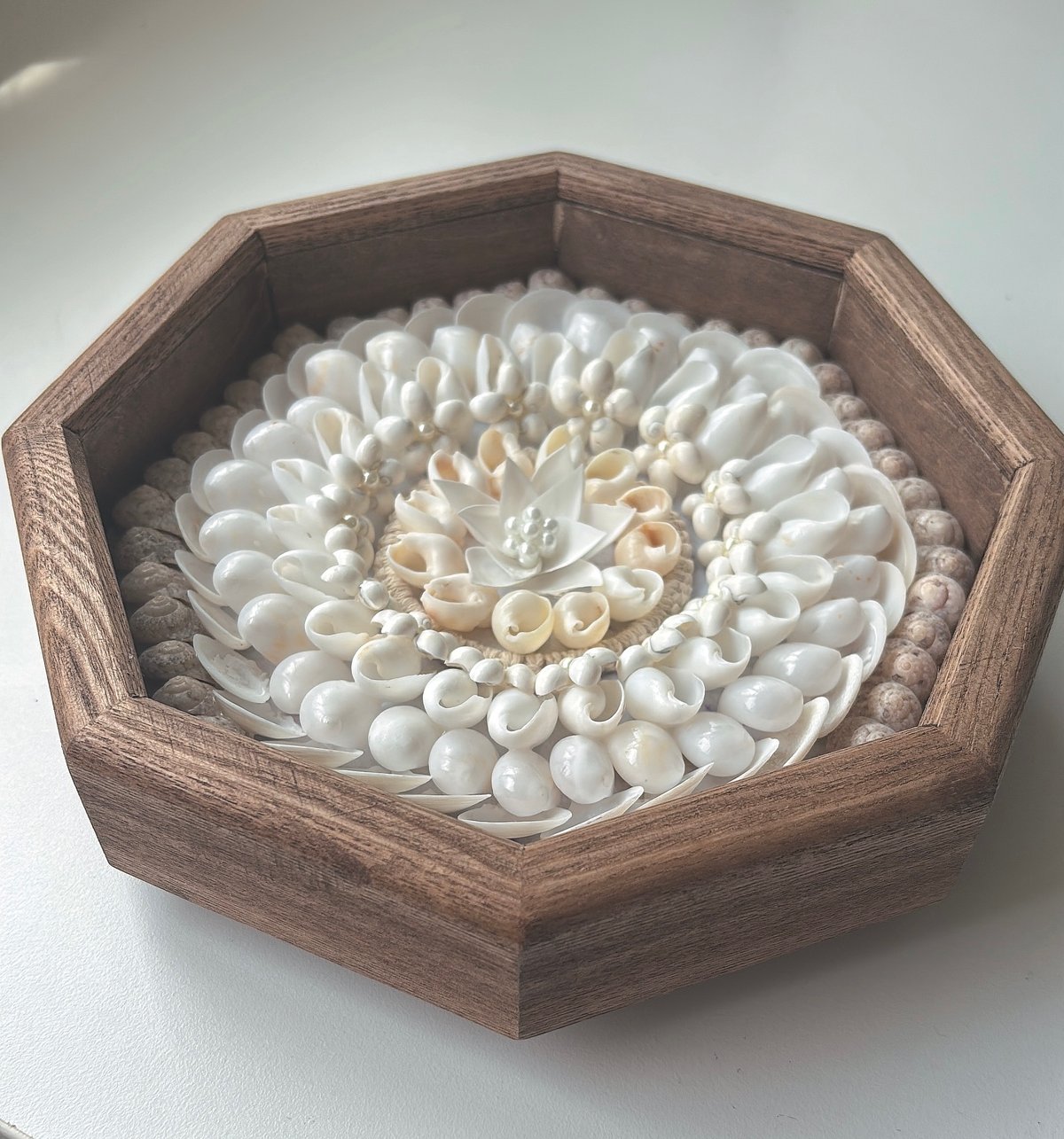 自然の貝殻でつくるインテリア シェルアートキット セーラーズ