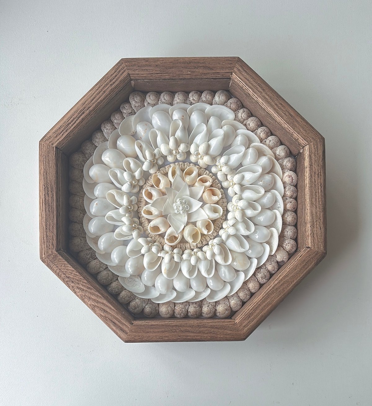 マルコリン・アート・クリスタル 貝殻 M177 LADOGA JAPANは2025年4月に設立10年を迎えることとなりました。10周年